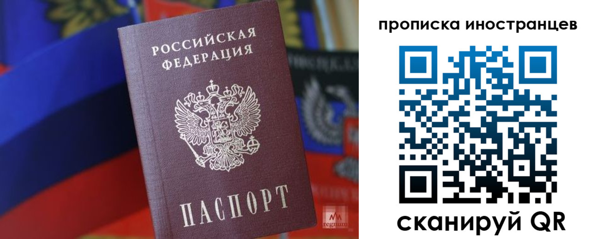 прописка законно в Щёкино